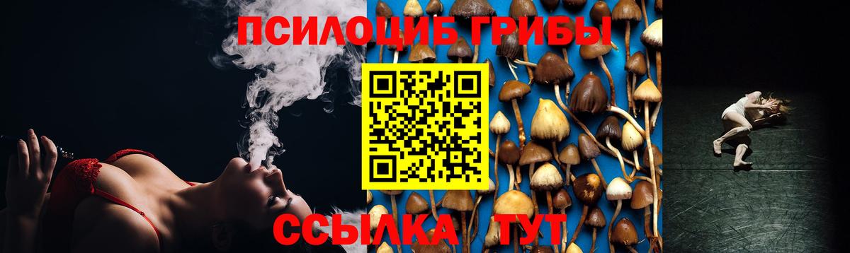 Галлюциногенные грибы MAGIC MUSHROOMS  Вход с VPN  Псилоцибиновые грибы мицелий  Можайск 